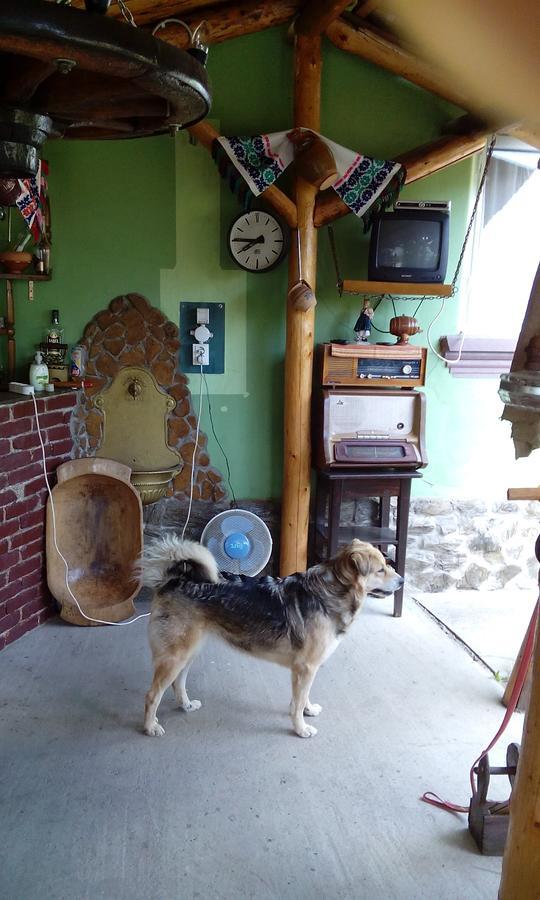 Casa Cosmin Guest House Dobra ภายนอก รูปภาพ