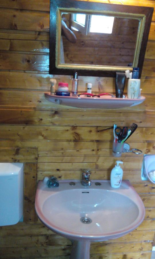 Casa Cosmin Guest House Dobra ภายนอก รูปภาพ