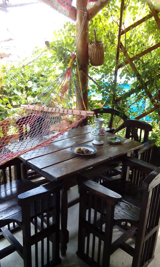 Casa Cosmin Guest House Dobra ภายนอก รูปภาพ
