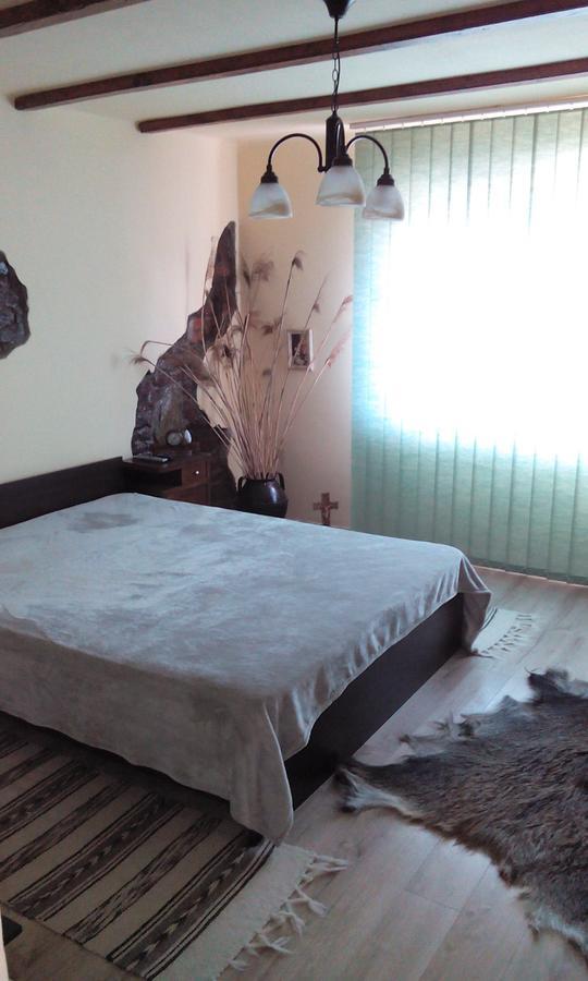 Casa Cosmin Guest House Dobra ภายนอก รูปภาพ