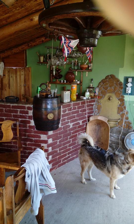 Casa Cosmin Guest House Dobra ภายนอก รูปภาพ