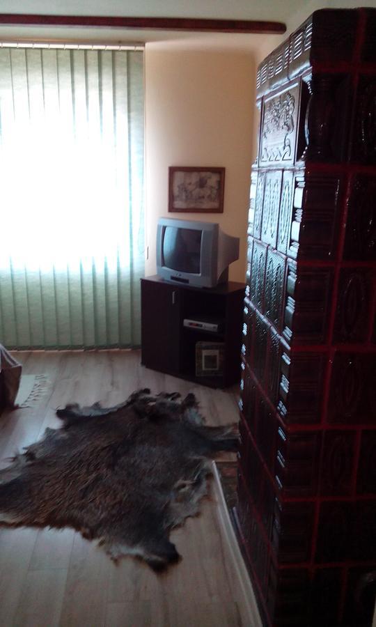 Casa Cosmin Guest House Dobra ภายนอก รูปภาพ