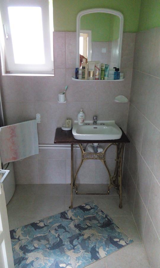 Casa Cosmin Guest House Dobra ภายนอก รูปภาพ