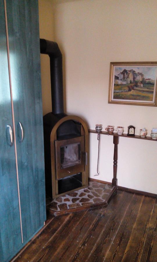 Casa Cosmin Guest House Dobra ภายนอก รูปภาพ
