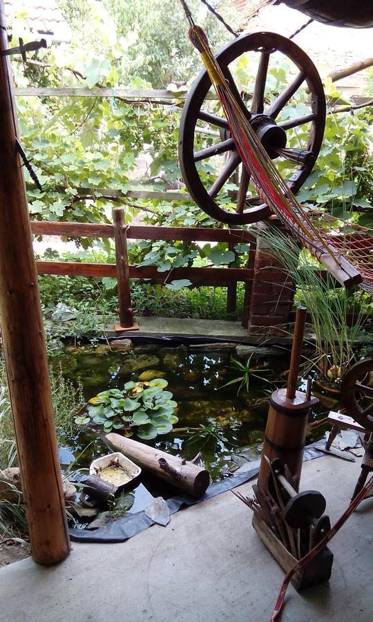 Casa Cosmin Guest House Dobra ภายนอก รูปภาพ