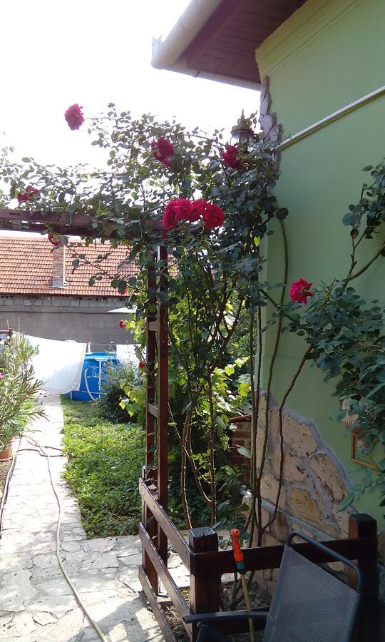 Casa Cosmin Guest House Dobra ภายนอก รูปภาพ